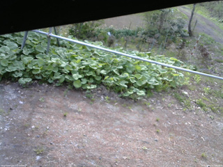 長野県菅平高原 ゆたか山荘 駐車場 2026/05/12 07:00