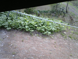長野県菅平高原 ゆたか山荘 駐車場 2026/05/12 07:15