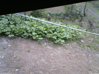 長野県菅平高原 ゆたか山荘 駐車場 2026/05/12 07:45