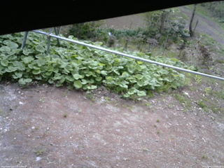 長野県菅平高原 ゆたか山荘 駐車場 2026/05/12 08:00