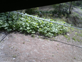 長野県菅平高原 ゆたか山荘 駐車場 2026/05/12 08:30