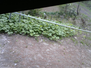 長野県菅平高原 ゆたか山荘 駐車場 2026/05/12 08:45