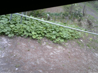 長野県菅平高原 ゆたか山荘 駐車場 2026/05/12 09:00
