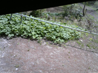 長野県菅平高原 ゆたか山荘 駐車場 2026/05/12 09:45