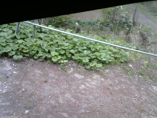 長野県菅平高原 ゆたか山荘 駐車場 2026/05/12 10:00
