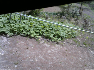 長野県菅平高原 ゆたか山荘 駐車場 2026/05/12 10:30