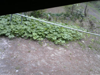 長野県菅平高原 ゆたか山荘 駐車場 2026/05/12 11:15