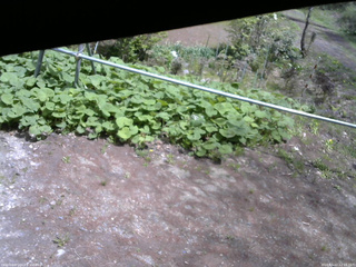 長野県菅平高原 ゆたか山荘 駐車場 2026/05/12 12:15