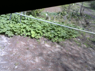 長野県菅平高原 ゆたか山荘 駐車場 2026/05/12 12:45