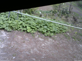 長野県菅平高原 ゆたか山荘 駐車場 2026/05/12 13:00
