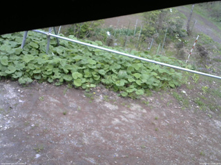 長野県菅平高原 ゆたか山荘 駐車場 2026/05/12 14:00