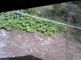 長野県菅平高原 ゆたか山荘 駐車場 2026/05/12 14:15