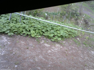 長野県菅平高原 ゆたか山荘 駐車場 2026/05/12 14:30