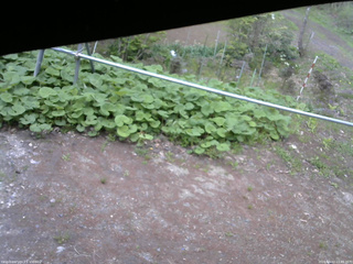 長野県菅平高原 ゆたか山荘 駐車場 2026/05/12 15:45