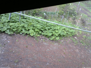 長野県菅平高原 ゆたか山荘 駐車場 2026/05/12 16:00