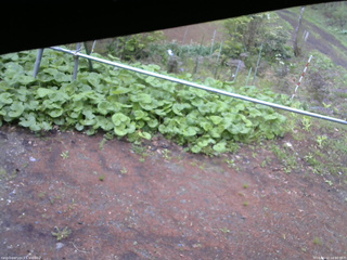 長野県菅平高原 ゆたか山荘 駐車場 2026/05/12 16:30
