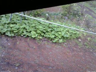 長野県菅平高原 ゆたか山荘 駐車場 2026/05/12 16:45
