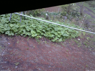 長野県菅平高原 ゆたか山荘 駐車場 2026/05/12 18:15