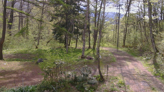 長野県菅平高原 ゆたか山荘 坂上 2026/05/12 08:30