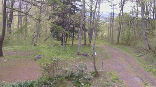 長野県菅平高原 ゆたか山荘 坂上 2026/05/12 08:45