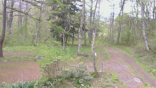 長野県菅平高原 ゆたか山荘 坂上 2026/05/12 09:00