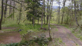 長野県菅平高原 ゆたか山荘 坂上 2026/05/12 09:15