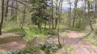 長野県菅平高原 ゆたか山荘 坂上 2026/05/12 09:30