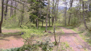 長野県菅平高原 ゆたか山荘 坂上 2026/05/12 10:30