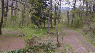 長野県菅平高原 ゆたか山荘 坂上 2026/05/12 10:45