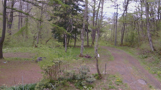 長野県菅平高原 ゆたか山荘 坂上 2026/05/12 12:00