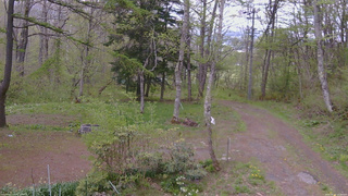 長野県菅平高原 ゆたか山荘 坂上 2026/05/12 13:30