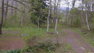 長野県菅平高原 ゆたか山荘 坂上 2026/05/12 14:30
