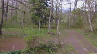 長野県菅平高原 ゆたか山荘 坂上 2026/05/12 15:45