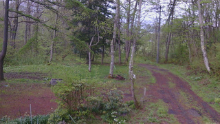 長野県菅平高原 ゆたか山荘 坂上 2026/05/12 16:45