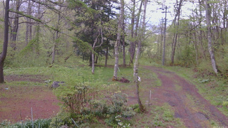 長野県菅平高原 ゆたか山荘 坂上 2026/05/12 17:30