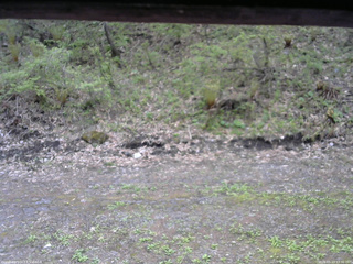 長野県菅平高原 ゆたか山荘 東側(坂下) 2026/05/13 13:30