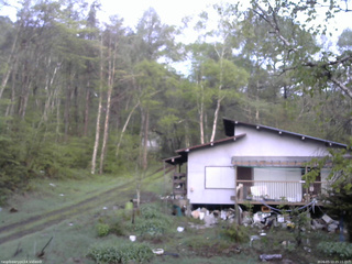 長野県菅平高原 ゆたか山荘 西側(坂上) 2026/05/13 05:15
