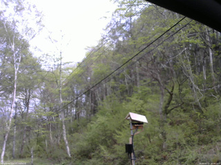 長野県菅平高原 ゆたか山荘 温度計 2026/05/13 14:00