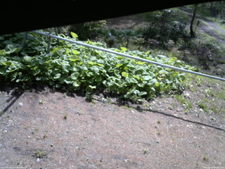 長野県菅平高原 ゆたか山荘 駐車場 2026/05/13 08:30