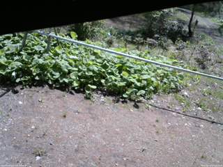 長野県菅平高原 ゆたか山荘 駐車場 2026/05/13 09:15