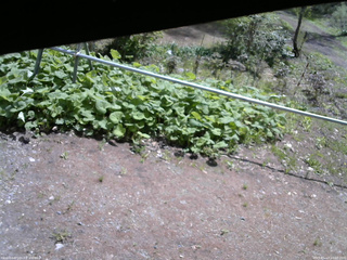 長野県菅平高原 ゆたか山荘 駐車場 2026/05/13 10:00