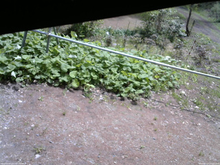 長野県菅平高原 ゆたか山荘 駐車場 2026/05/13 10:15