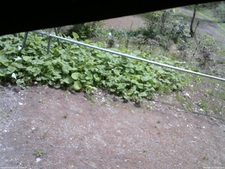 長野県菅平高原 ゆたか山荘 駐車場 2026/05/13 10:30