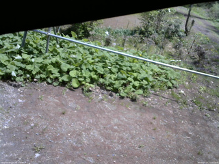 長野県菅平高原 ゆたか山荘 駐車場 2026/05/13 11:30