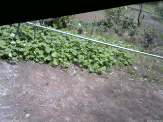 長野県菅平高原 ゆたか山荘 駐車場 2026/05/13 12:00