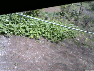 長野県菅平高原 ゆたか山荘 駐車場 2026/05/13 12:15