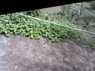長野県菅平高原 ゆたか山荘 駐車場 2026/05/13 12:30