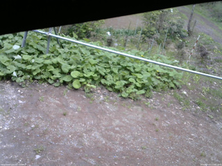 長野県菅平高原 ゆたか山荘 駐車場 2026/05/13 12:45