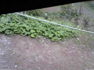 長野県菅平高原 ゆたか山荘 駐車場 2026/05/13 13:45