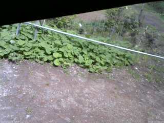 長野県菅平高原 ゆたか山荘 駐車場 2026/05/13 14:00